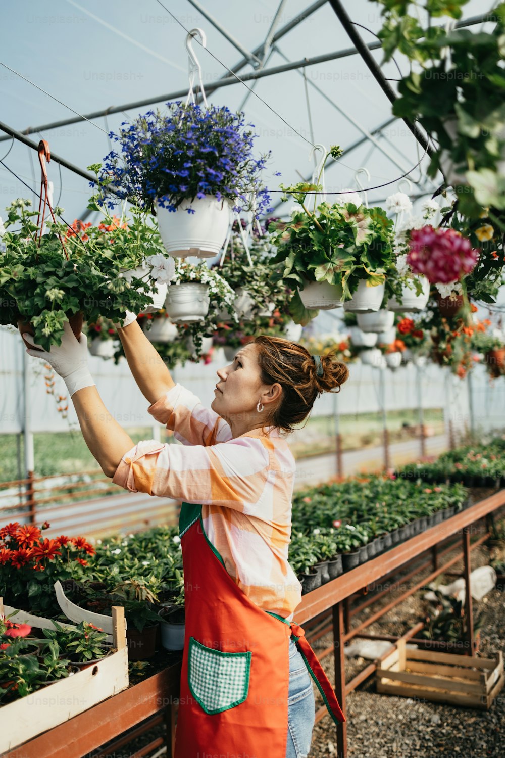 행복하고 긍정적인 젊은 성인 여성은 온실에서 일하고 아름다운 꽃을 즐기고 있습니다.
