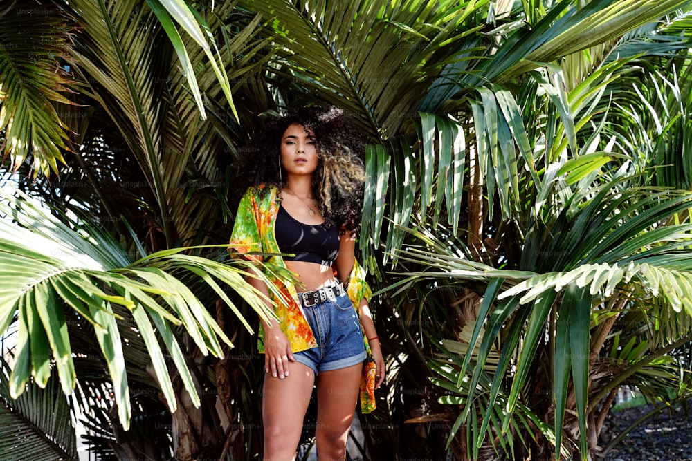 Bela jovem colombiana mulher com penteado afro vestindo roupas casuais da moda, posando ao ar livre, olhando para a câmera.