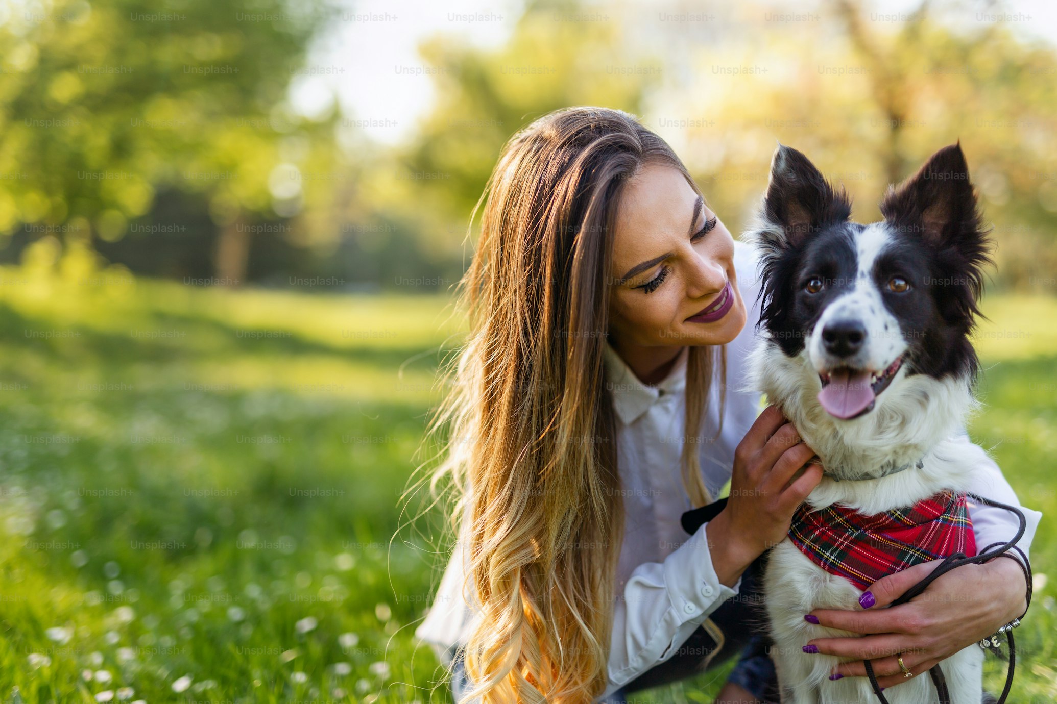 Run For Paws Hero Banner