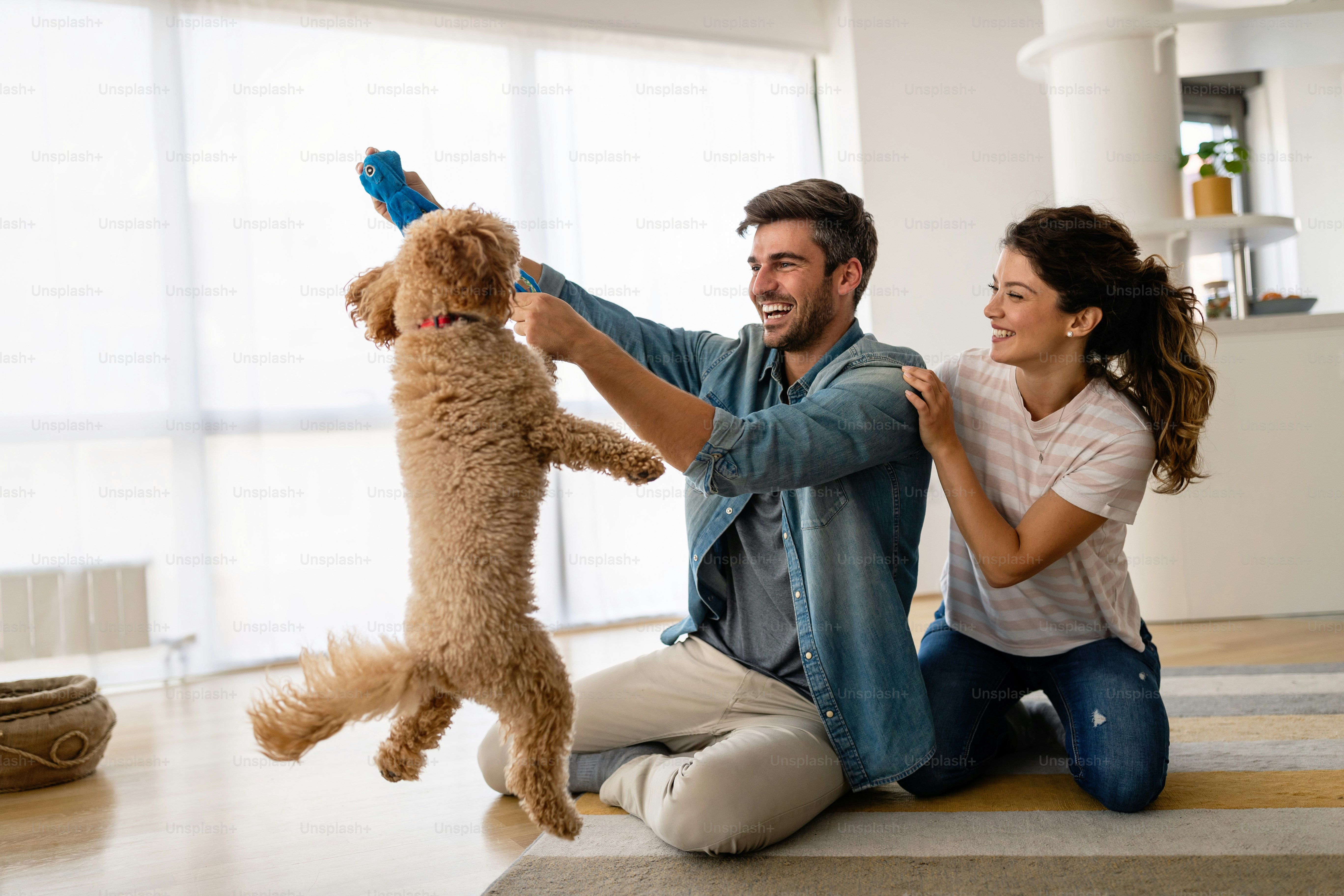 Beautiful couple relaxing at home and loving their dog. People, animal concept
