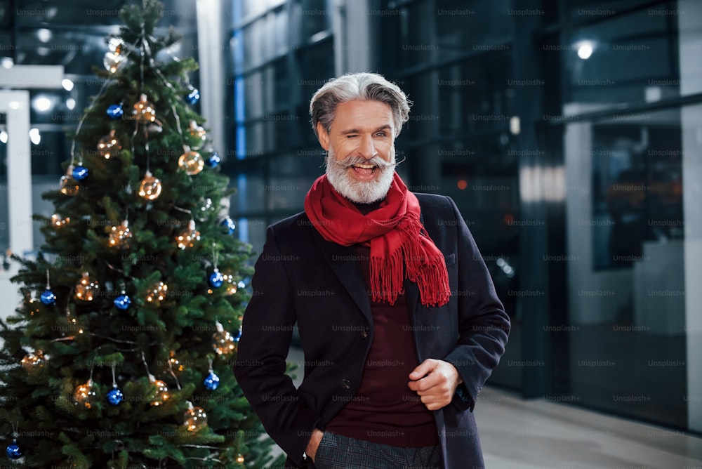 Retrato de un anciano de moda con cabello gris y bigote de pie cerca del árbol decorado de Navidad.