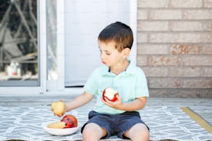 Comida sazonal de verão. Menino caucasiano bonito da pré-escola comendo maçã vermelha madura e frutas no quintal. Criança engraçada criança com frutas frescas, maçã, banana, pera. Alimentos vitamínicos saudáveis para crianças crianças.