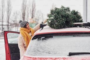 녹색 크리스마스 트리가 있는 차 근처에 서 있는 긍정적인 어린 소녀.