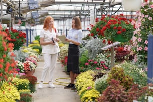 Greenhouse owner presenting flowers options to a potential customer retailer. They have a business discussion, planning future collaboration while noting and negotiating conditions