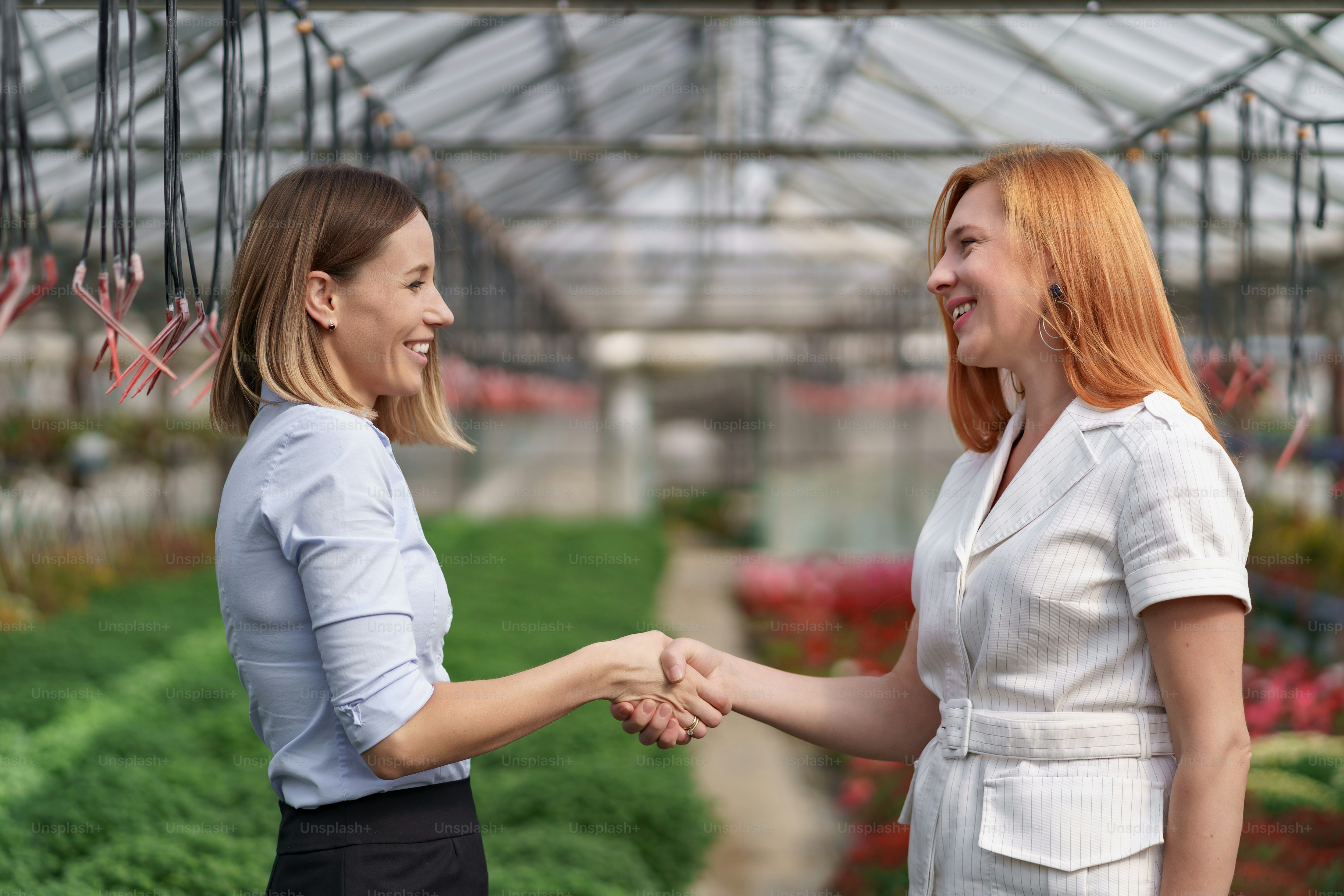Greenhouse owner presenting flowers options to a potential customer retailer. They have a business discussion, planning future collaboration while noting and negotiating conditions