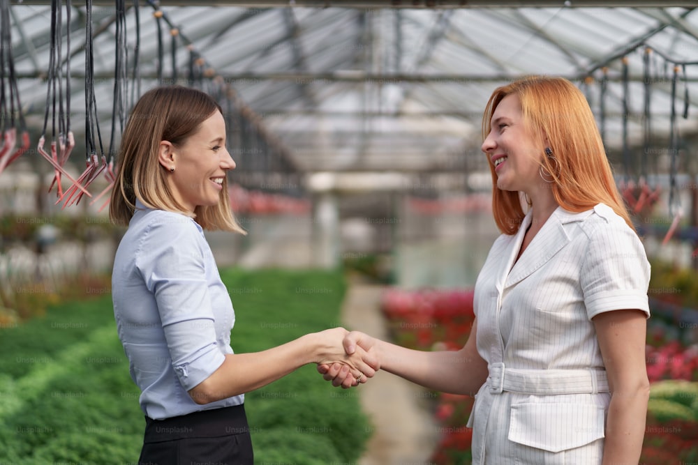 潜在的な顧客の小売業者に花のオプションを提示する温室の所有者。彼らはビジネス上の話し合いを行い、条件に注意して交渉しながら、将来のコラボレーションを計画します