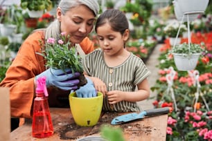 Do like this. Waist up portrait view of the careful grandmother teaching her little child to replacing flowers to the pots while spending time at the greenhouse