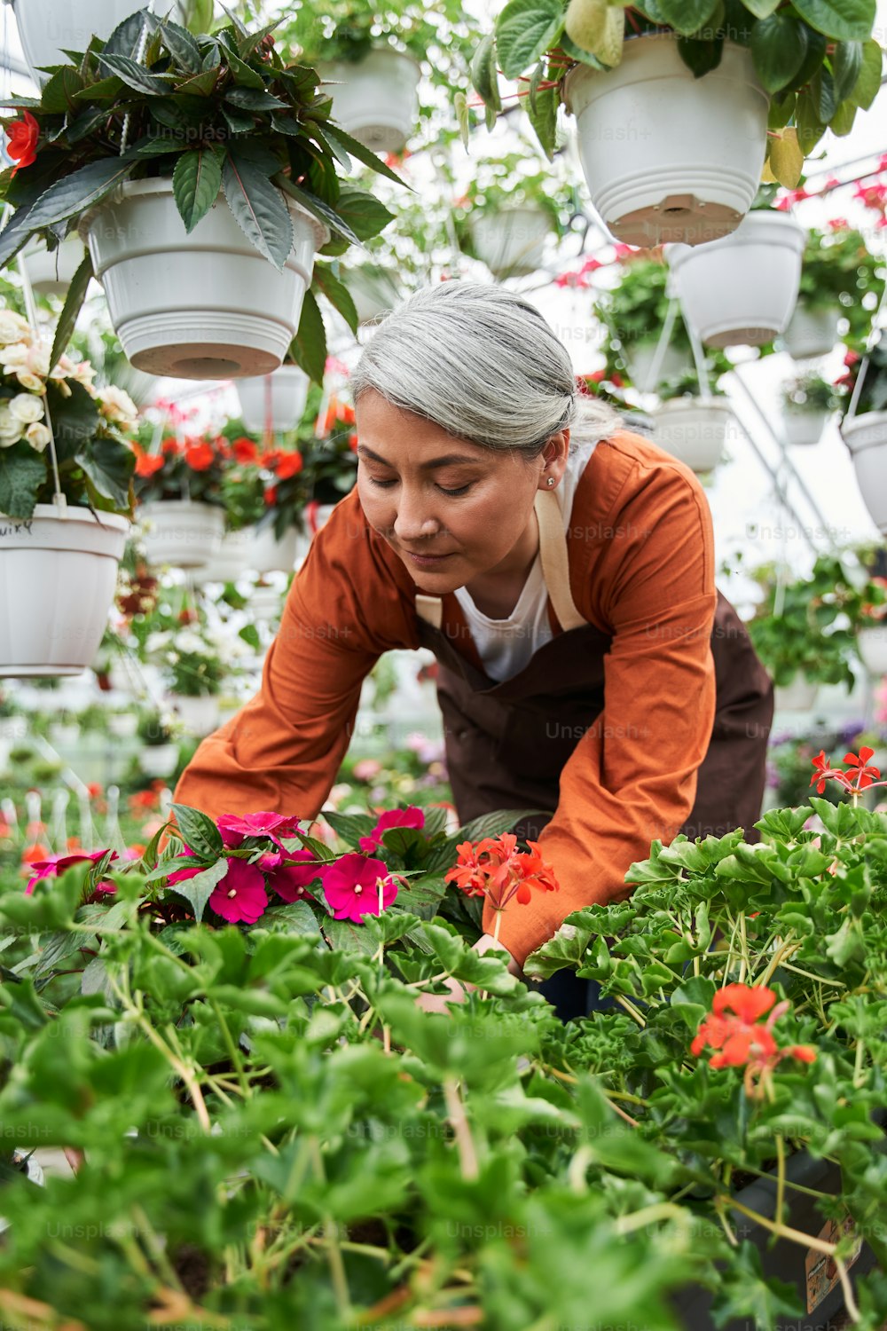 Vertical view of the beautiful senior woman looking at the flowers with tenderness while taking care of it at the greenhouse during the summer. Stock photo
