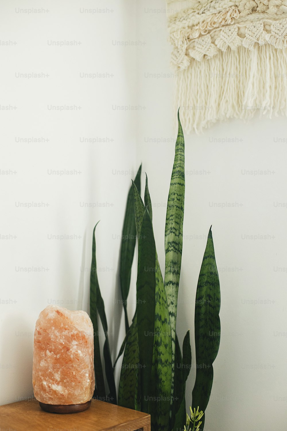 Stylish salt lamp on wooden bedside table on background of snake plant and boho decor in white scandinavian room. Calm and relax details in boho bedroom. Air purifying
