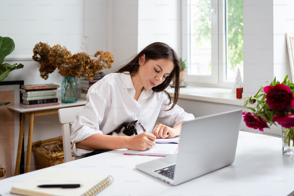 Image of young cheery positive beautiful businesswoman sitting indoors in office or home office using laptop computer petting a sweet kitten