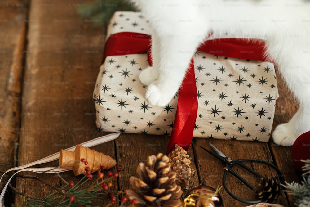 Lindas patas de gatito en elegante regalo de Navidad con cinta roja y decoraciones festivas navideñas en mesa de madera rústica. Mascotas y vacaciones de invierno. Adorable gato ayuda a envolver el regalo de Navidad. Felices Fiestas