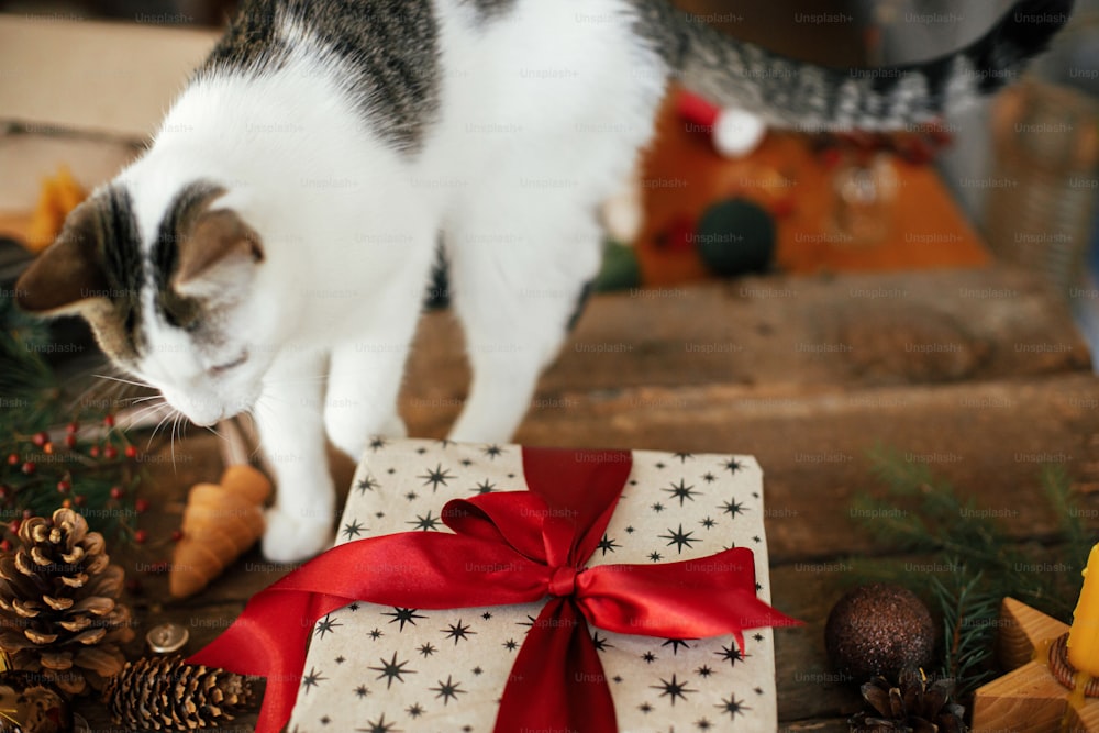 Cute kitten playing on stylish christmas gift with red ribbon and festive holiday decorations on rustic wooden table. Pet and winter holidays. Christmas cat. Space for text