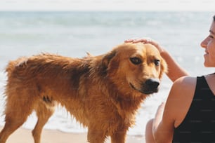 Happy woman caressing cute dog on sunny beach at sea, close up. Summer vacation with pet. Young female relaxing and enjoying holiday with adorable golden doggy on tropical island