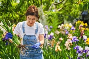 花や土の根を植える準備をしている女性