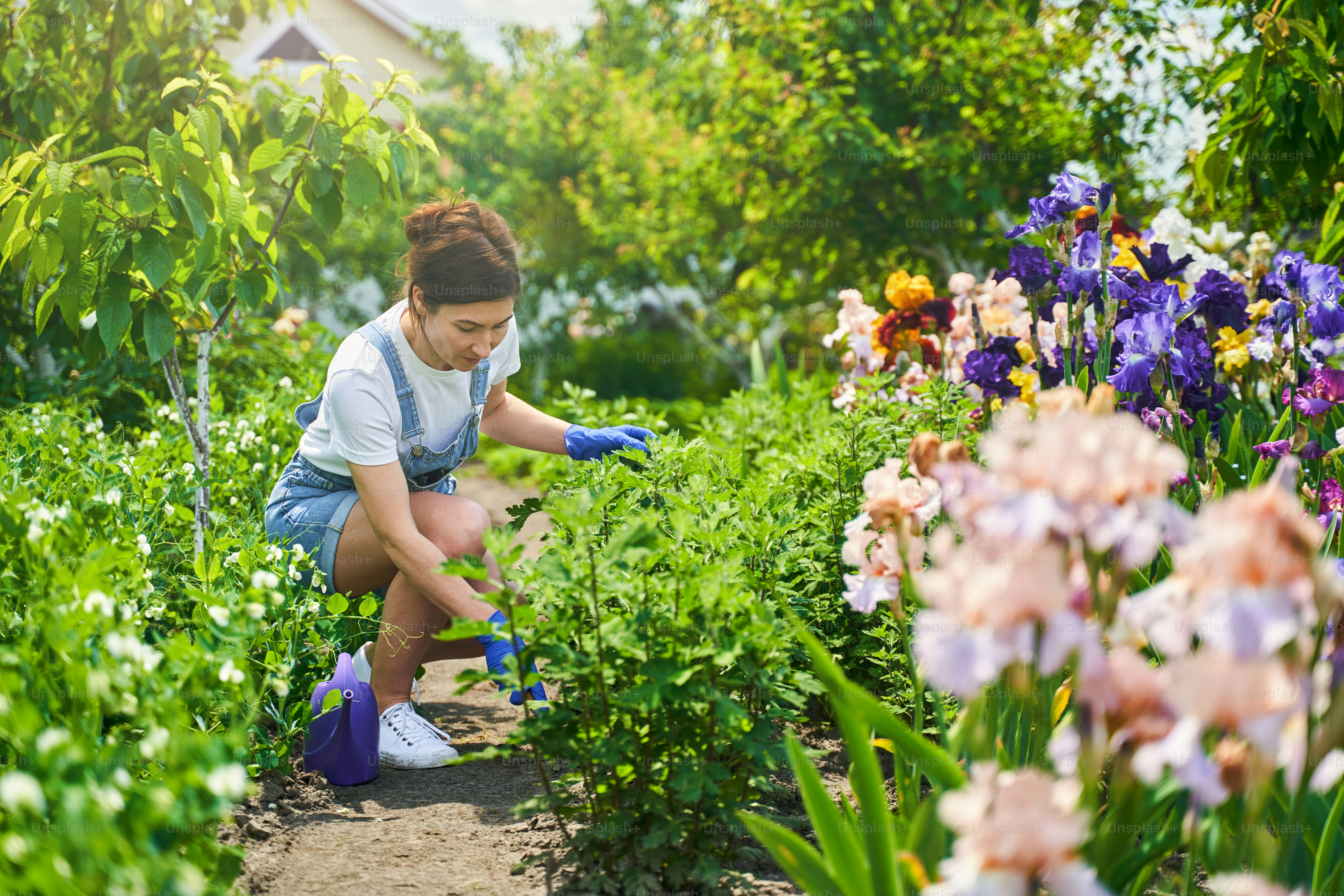 Female person in gloves taking care of flower-garden. Equipment and gardening