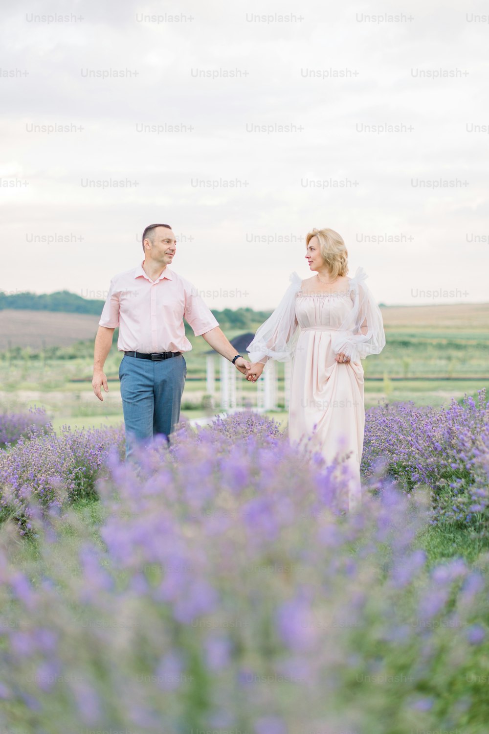 Mature couple in love holding hands in the lavender field. Happy middle aged couple walking outside in lavender flowering field