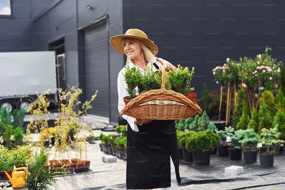 Wooden basket in hands. Senior woman is in the garden at daytime. Conception of plants and seasons.