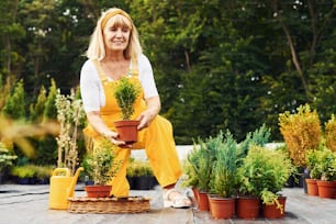 Working with plants in pots. Senior woman in yellow uniform is in the garden at daytime.