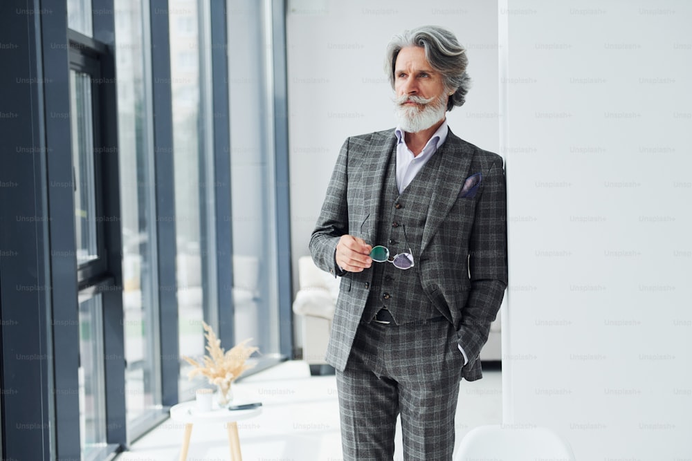 Standing in the room. Senior stylish modern man with grey hair and beard indoors.