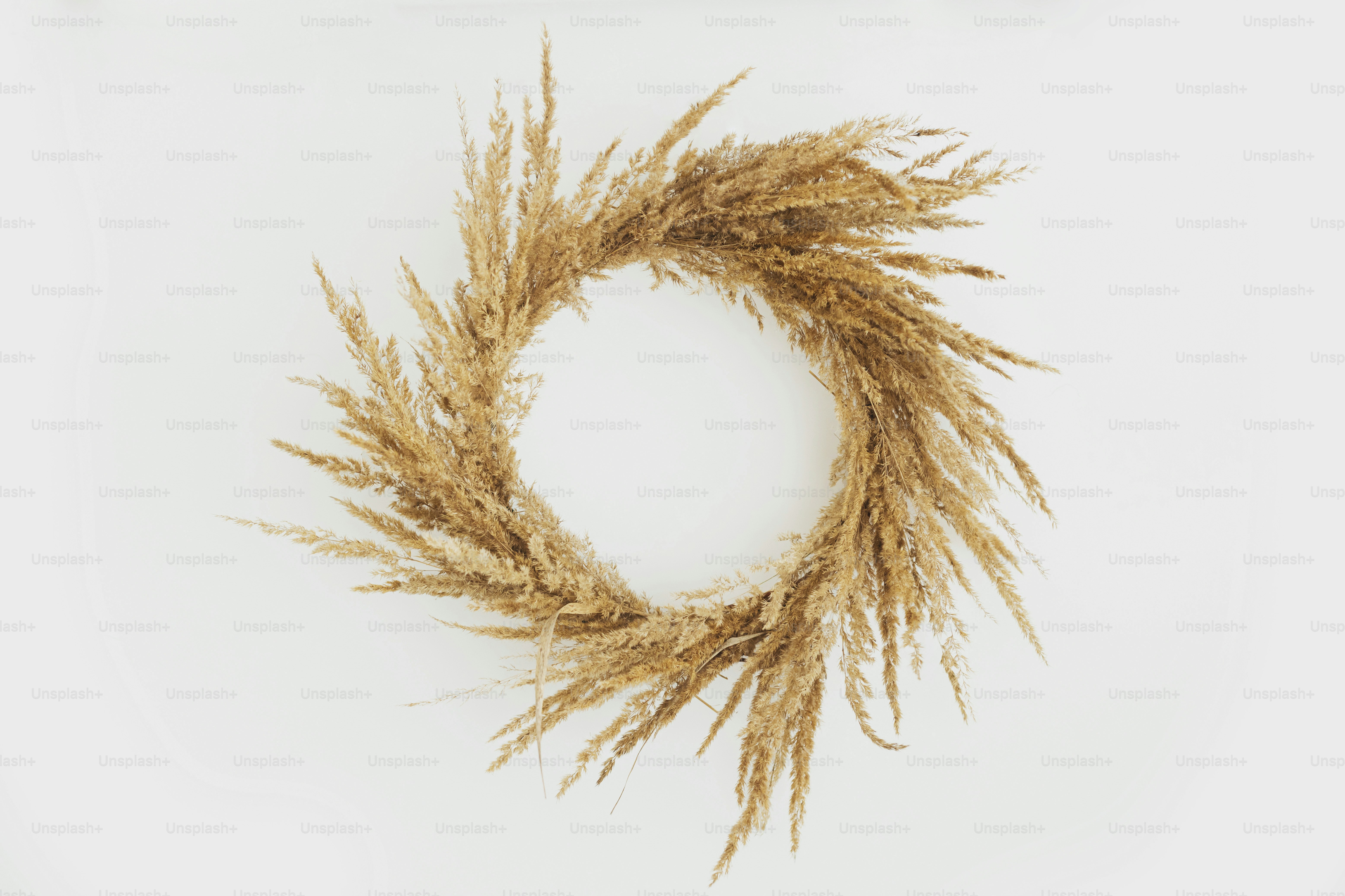 Elegante grinalda rústica boho com grama seca pendurada no fundo branco da parede. Coroa de outono Boho com grama dos pampas isolada. Oficina de férias e decoração de outono