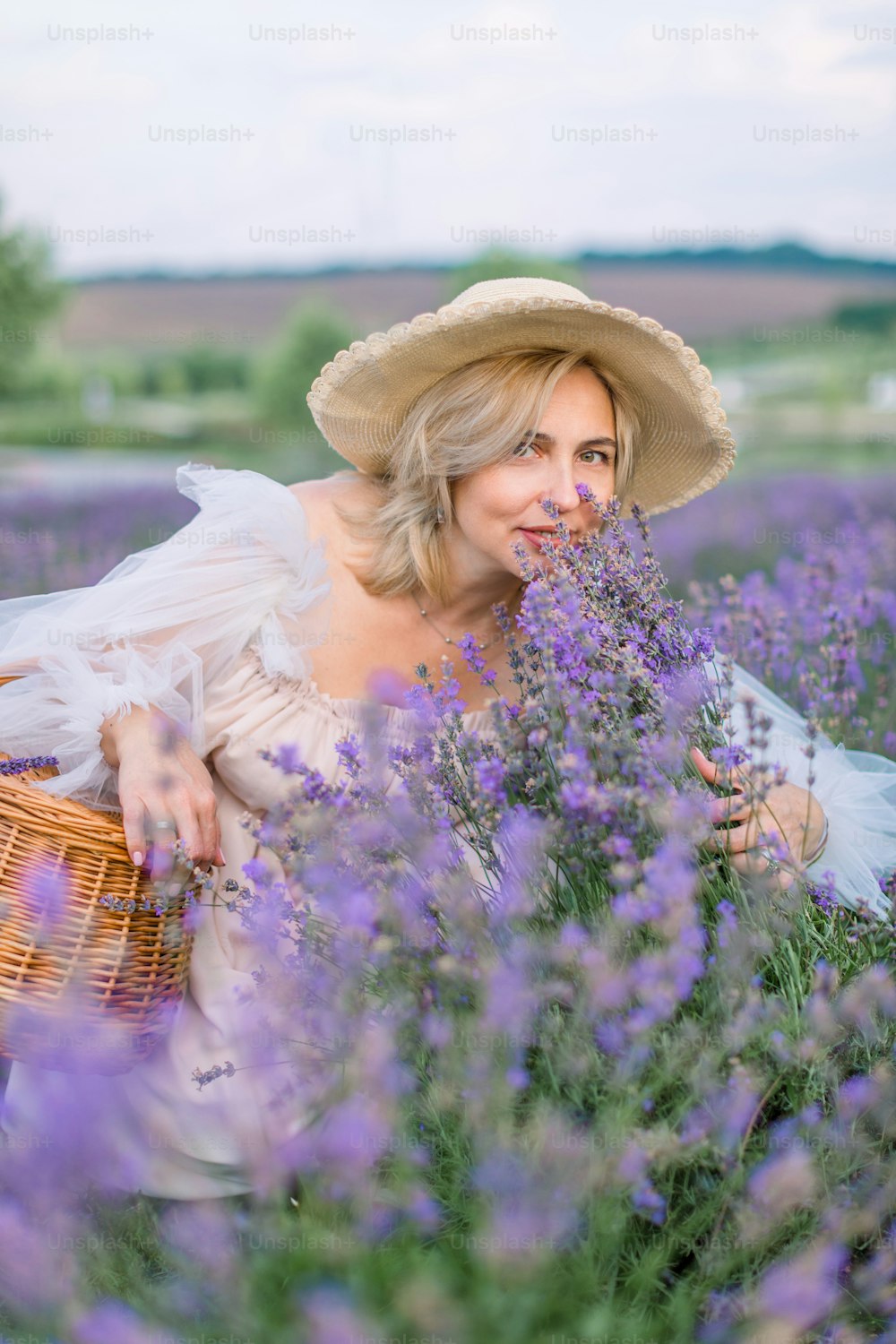Gathering lavender flowers into wicker bag. Pretty mature lady in stylish hat and dress, crouching and enjoying the scent of flowering lavender