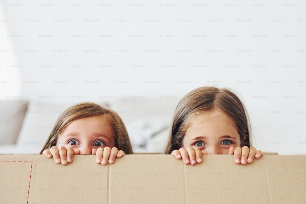 Sitting in the paper box. Two cute little girls indoors at home together. Children having fun.