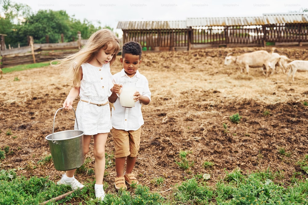 Tenir le lait. Un mignon petit garçon afro-américain avec une fille européenne est à la ferme.