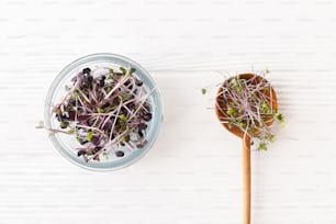 Glass jar with fresh red radish sprouts and stylish spoon with red cabbage sprouts on white wood, top view. Red sango and kohlrabi microgreen sprouts. Growing microgreens at home