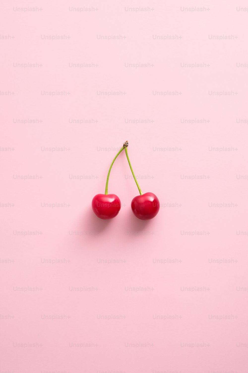Double cherry berries on pink background. Flat lay, top view.