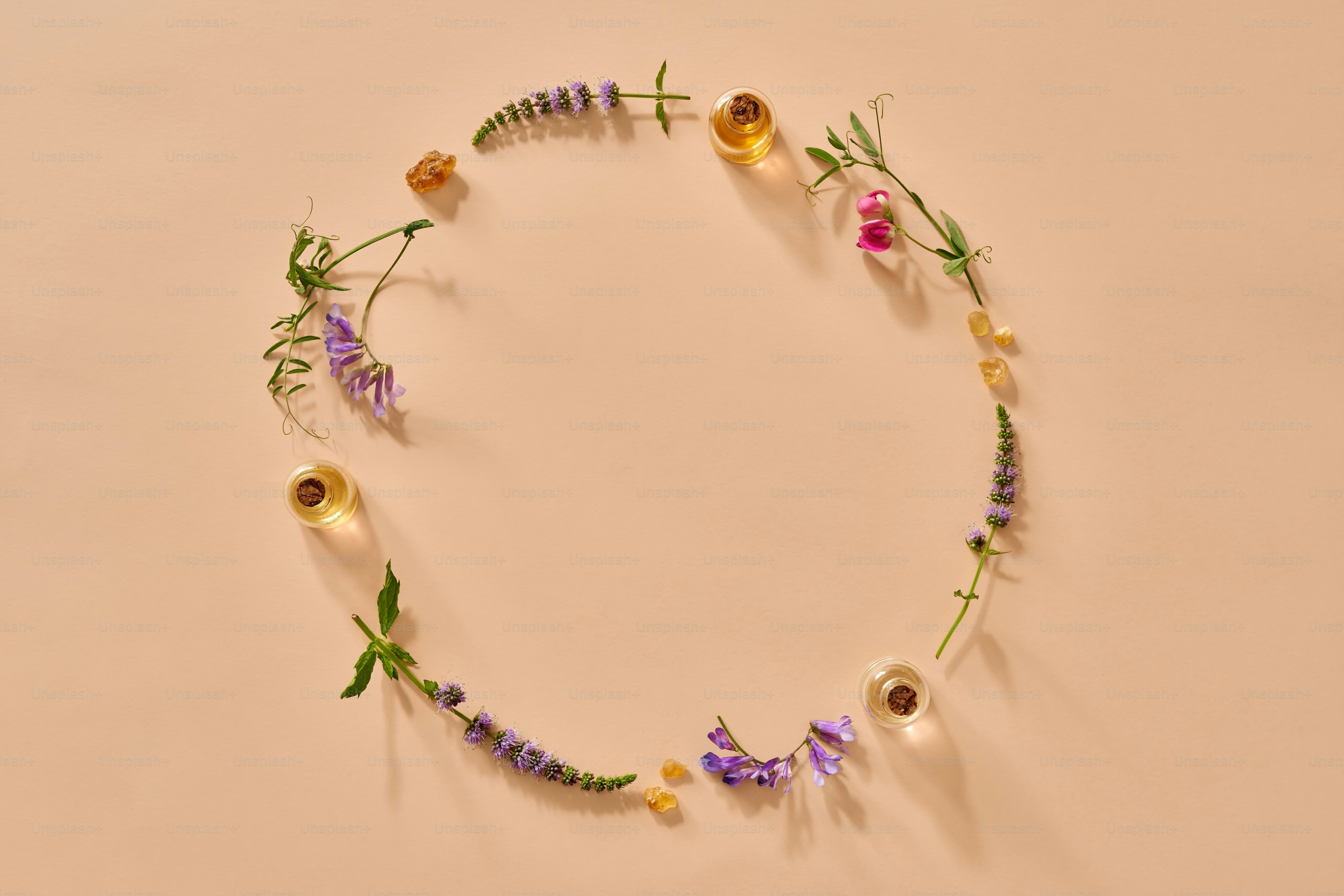 Mental Health Therapy Fort Collins