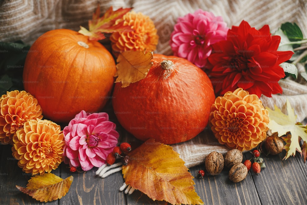 Beautiful autumn composition of pumpkins, dahlias flowers, leaves, berries and walnuts on cozy blanket on rustic wooden table. Seasons greeting card template. Happy Thanksgiving