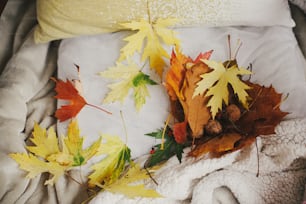 Beautiful fall leaves on cozy chair with pillow in rustic room. Autumn season in countryside, rural slow life.  Authentic home moment. Hello Fall