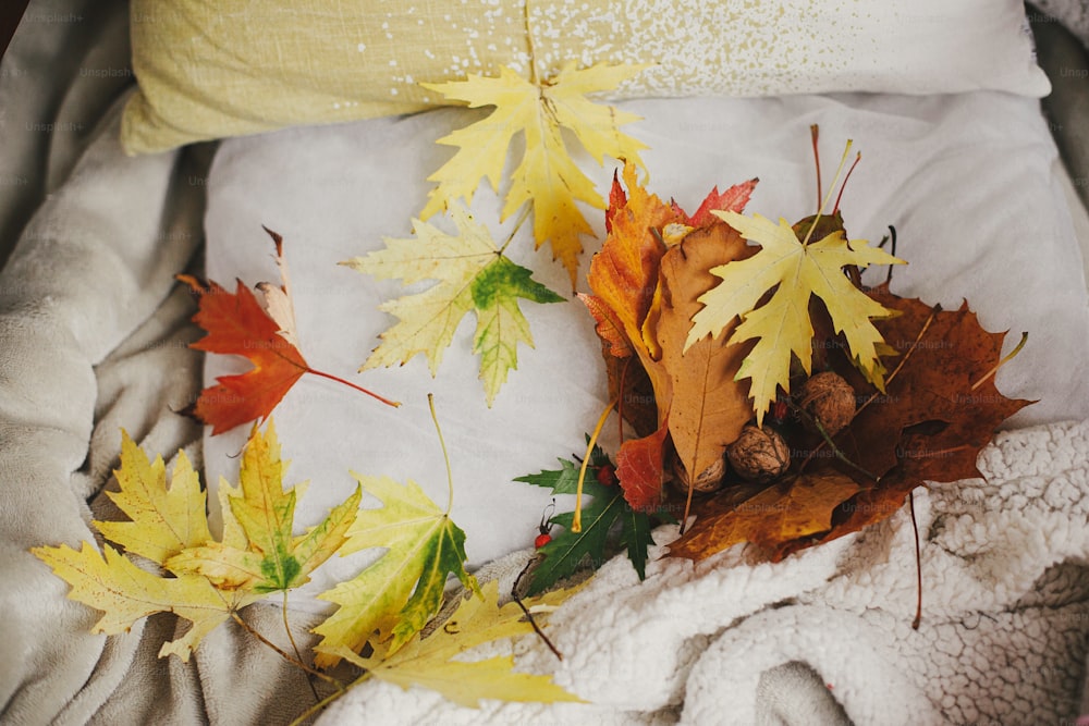 Schöne Herbstblätter auf gemütlichem Stuhl mit Kissen im rustikalen Zimmer. Herbstsaison auf dem Land, ländliches langsames Leben.  Authentischer Moment zu Hause. Hallo Herbst