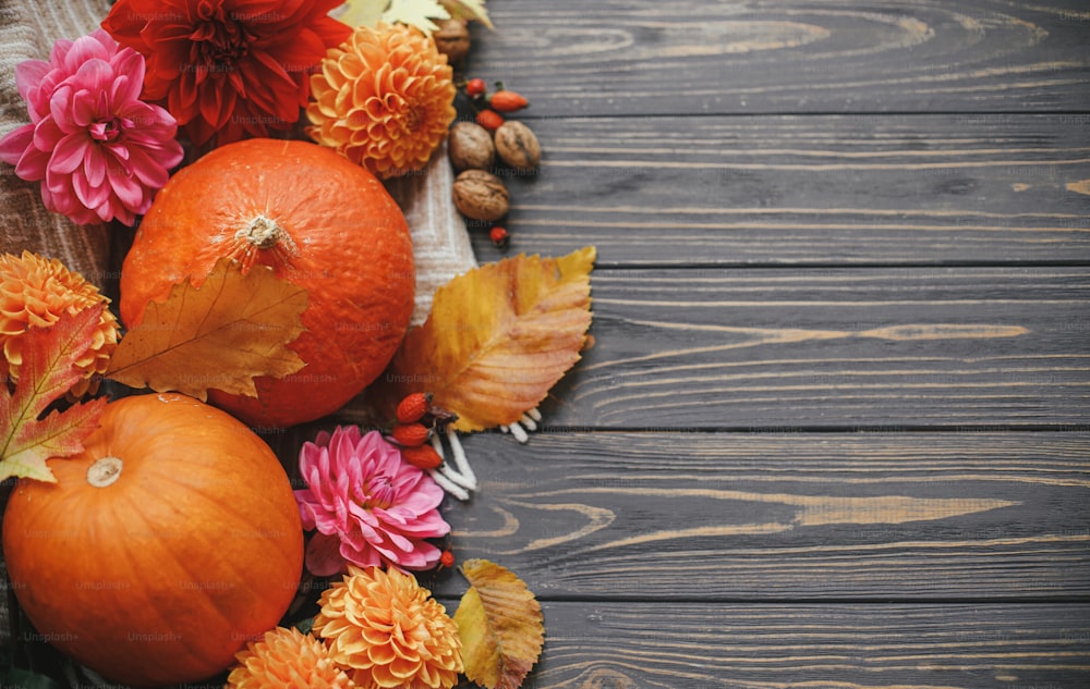 Beautiful pumpkins, autumn flowers, berries, leaves, walnuts on rustic wooden background. Flat lay with space for text. Seasons greeting card. Autumn composition on dark table. Happy Thanksgiving