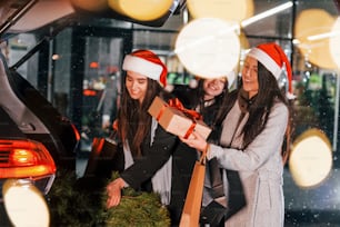 Holds fir. Three cheerful women spends Christmas holidays together outdoors. Conception of new year.