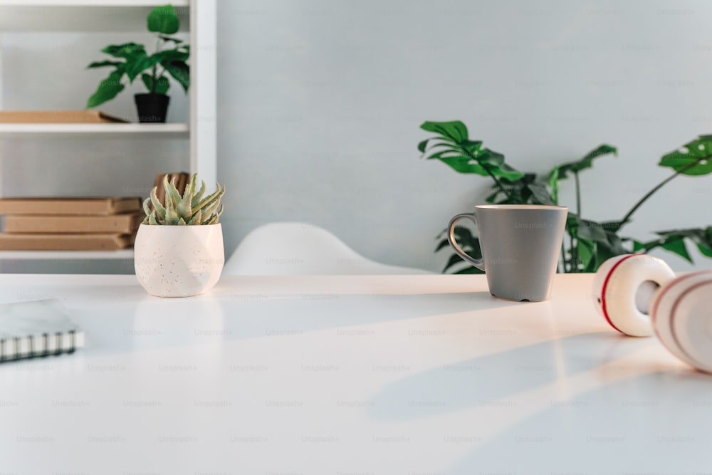 Modern minimal interior of cabinet. Empty workspace with blank space.