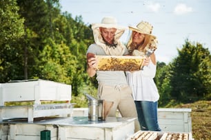 Two beekeepers works with honeycomb full of bees outdoors at sunny day. Man and woman.