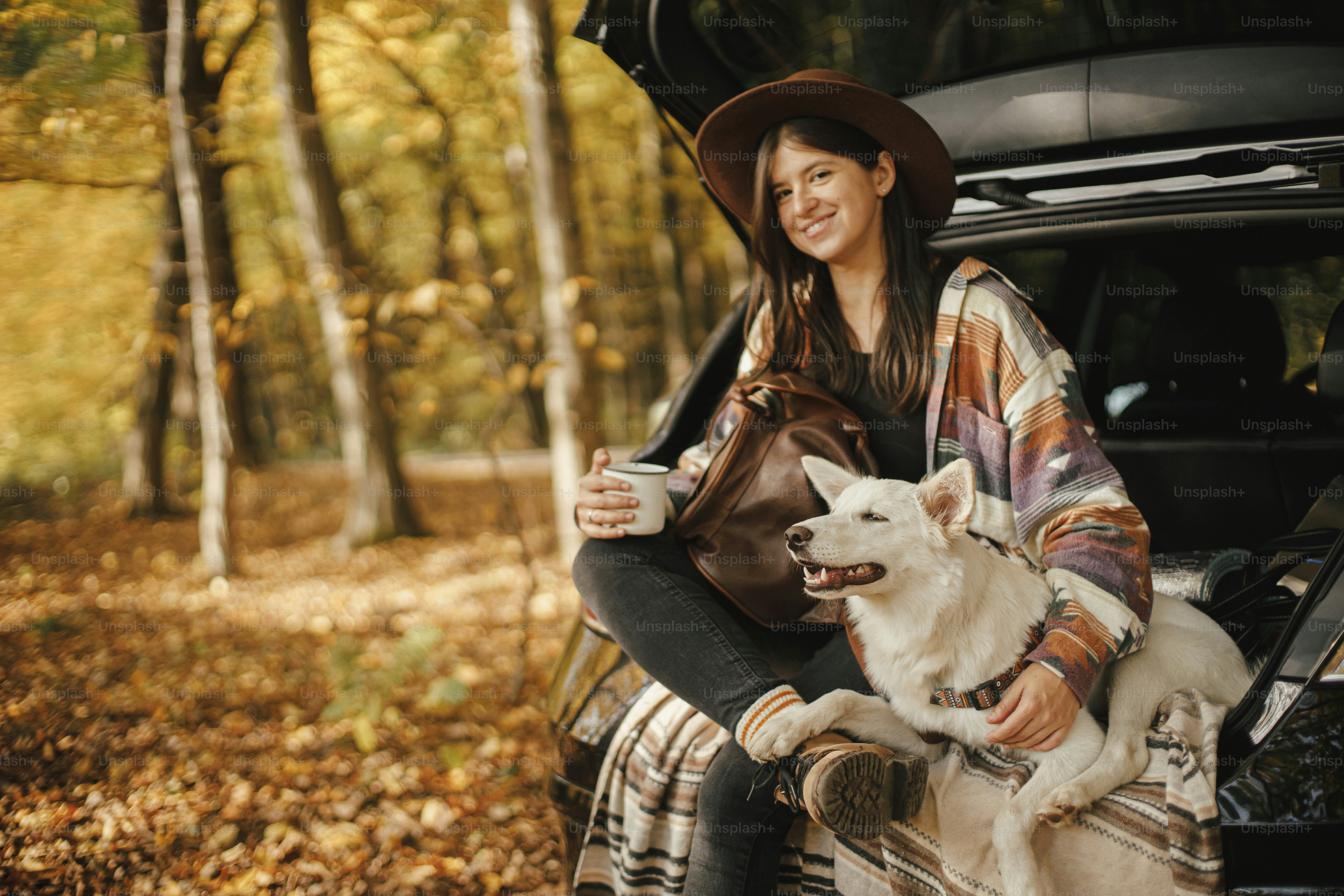 Stylish hipster woman with cup and backpack sitting with cute dog in car trunk in sunny autumn woods. Travel and road trip with pet. Space for text. Young female traveler hugging sweet white dog