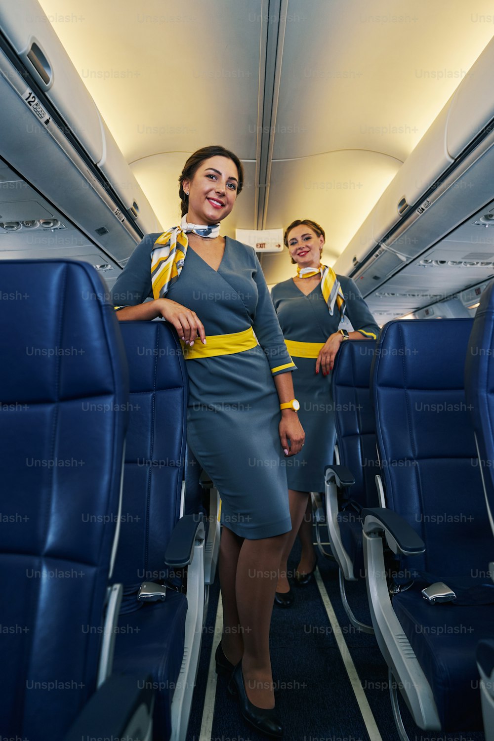 Smiling pleased stewardess and her female colleague standing in the cabin aisle aboard the plane