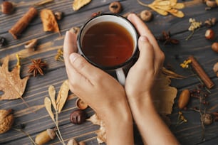 Mãos segurando xícara quente de chá no fundo de folhas de outono, bagas, nozes, anis, bolotas, pinhas em madeira escura rústica. Olá outono e Feliz Dia de Ação de Graças. Dias aconchegantes de outono