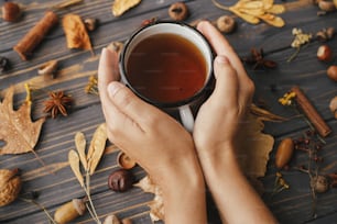 Mani che tengono una tazza calda di tè sullo sfondo di foglie autunnali, bacche, noci, anice, ghiande, pigne su legno scuro rustico. Ciao autunno e Buon Ringraziamento. Accoglienti giornate autunnali
