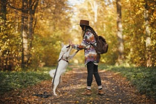Stylish woman in hat with backpack training cute dog in sunny autumn woods. Young female hipster giving five to swiss shepherd white dog. Travel and hiking with pet. Teamwork