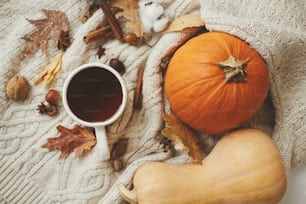 Warm cup of tea on stylish knitted sweater with pumpkins, autumn leaves and nuts, burning candle, flat lay. Cozy autumn slow living. Happy Thanksgiving and Halloween. Hello fall season