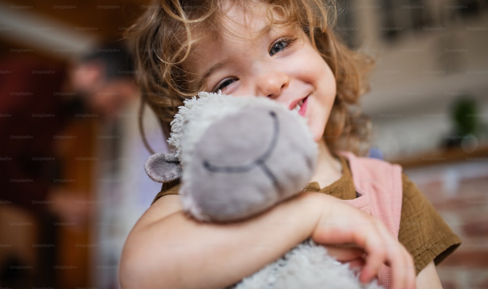 A portrait of cute small girl holding toy indoors at home, looking at camera.