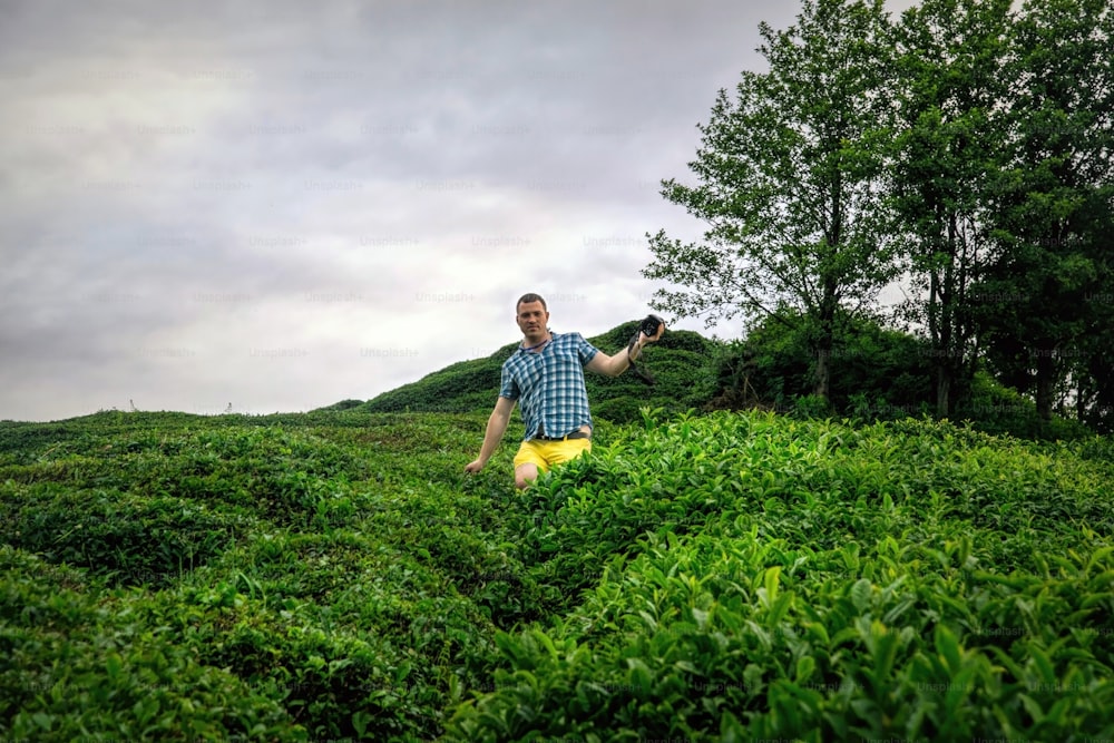 young man photographing fresh green tea bushes in Rize, Turkey. An informative summer adventure and journey through the Middle East. Travel photography as a hobby and a way of life