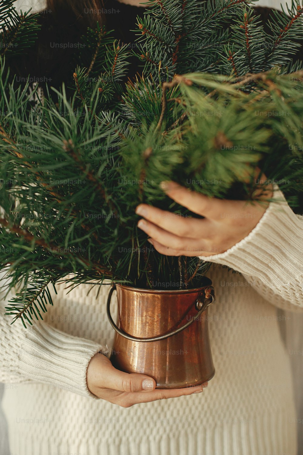 Mãos da mulher em elegante camisola acolhedora segurando vaso vintage com ramos de pinheiro e abeto na sala rústica, vista cortada. Preparativos para as férias de inverno. Feliz Natal!