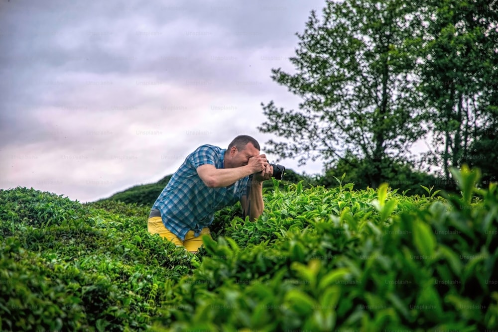 giovane che fotografa cespugli di tè verde fresco a Rize, Turchia. Un'avventura estiva istruttiva e un viaggio attraverso il Medio Oriente. La fotografia di viaggio come hobby e stile di vita