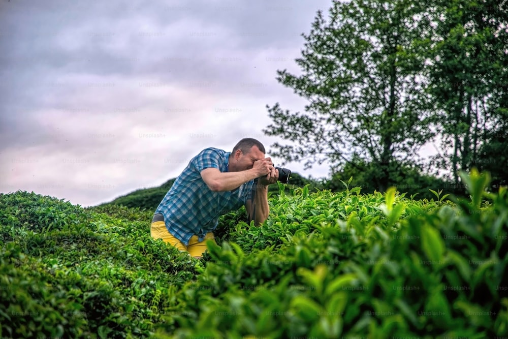 joven fotografiando arbustos frescos de té verde en Rize, Turquía. Una aventura informativa de verano y un viaje por Oriente Medio. La fotografía de viajes como hobby y forma de vida