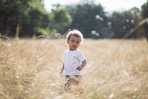Cute african american little boy in casual clothes smiling and running on summer field. Happy child with curly hair spending sunny day outdoors.