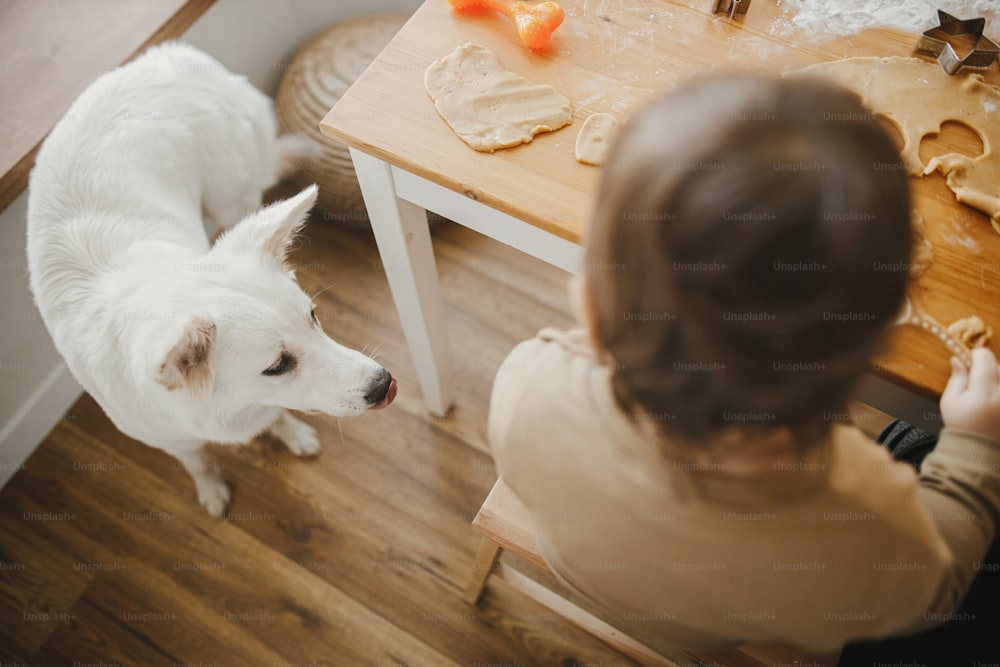 かわいい白い犬と小さな女の子が木製のテーブルでクリスマスジンジャーブレッドクッキーを作っています。可愛い友達。スイスシェパードの犬と幼児の女の子。幸せな家族との時間、休日の準備